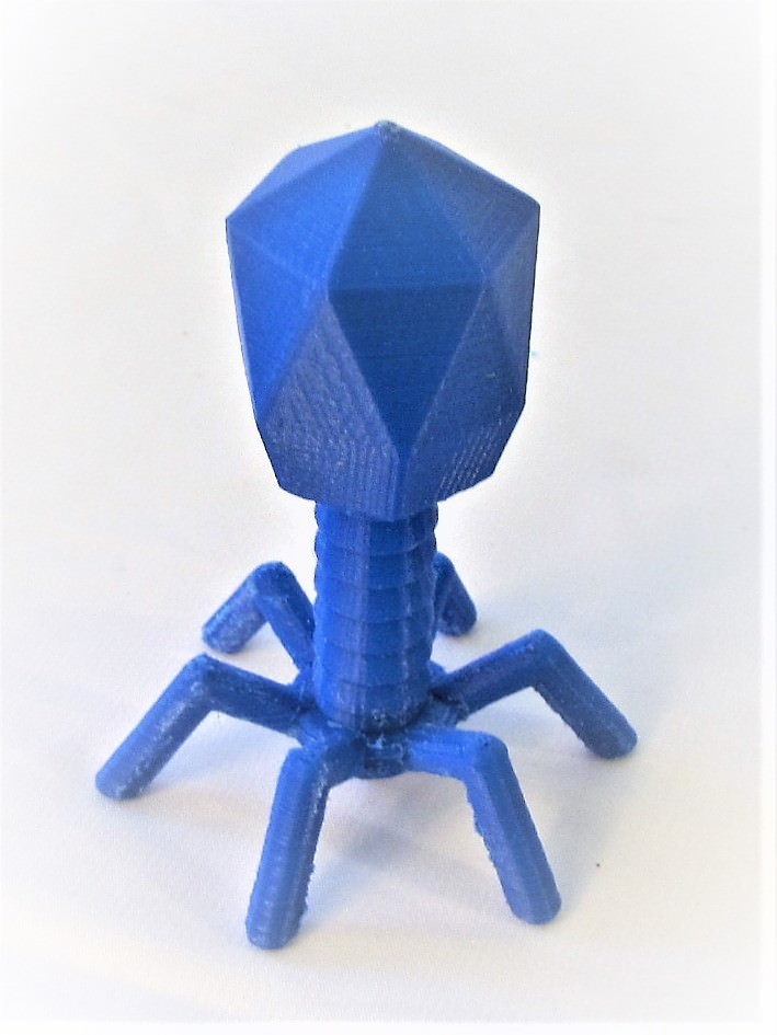 Virus Model Bacteriophage Phage Microbiology Science Education Microscope Gift