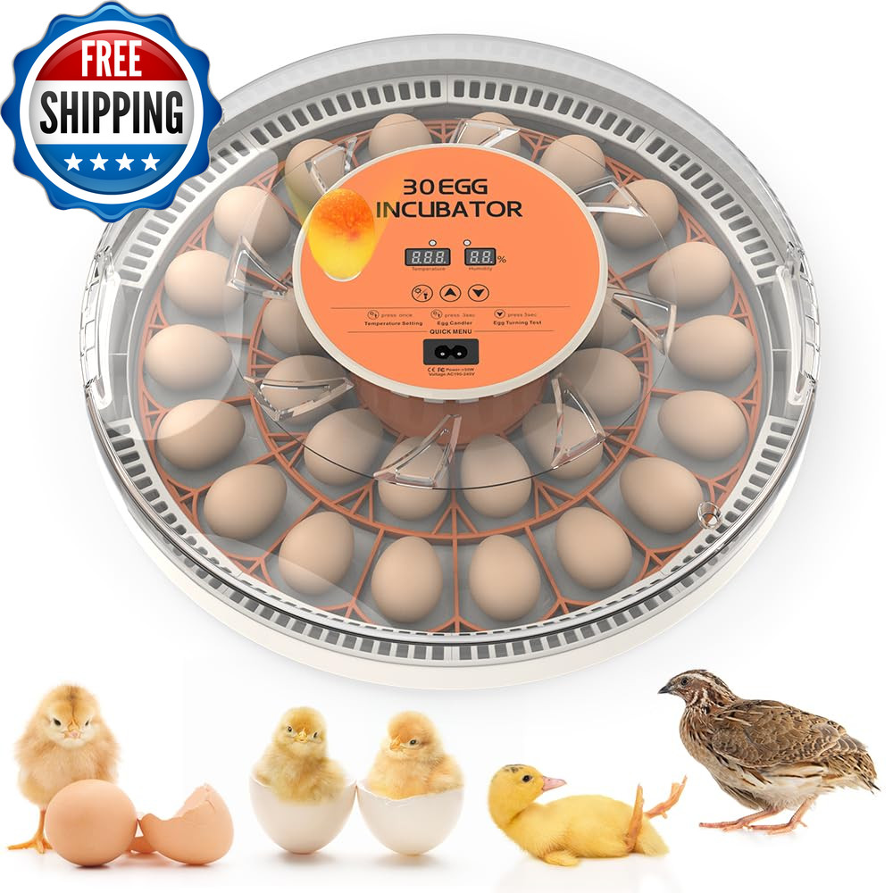 Incubators for Hatching Eggs，30 Egg Incubator,Egg Incubator with Automatic Egg T