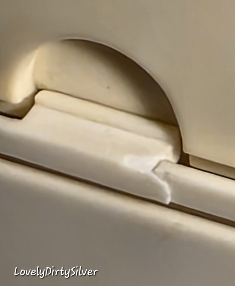 FREAKY 3D Human Functioning Heart and Brain Lighted Display Model