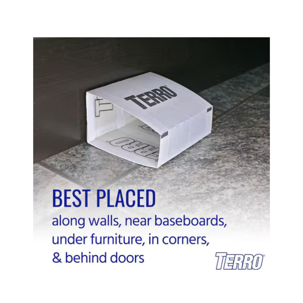 Terro T3206 Spider & Insect Traps – Indoor Use, 1 Pack, White