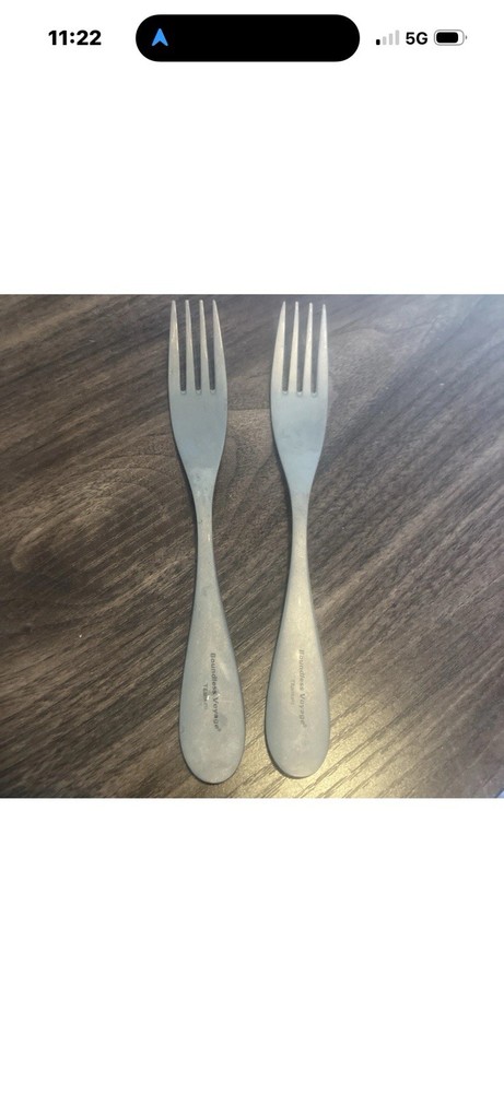 Boundless Voyage Titanium Fork Set Of 2