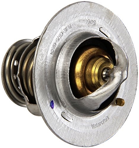 - Thermostat Asy (P) (RT1234)