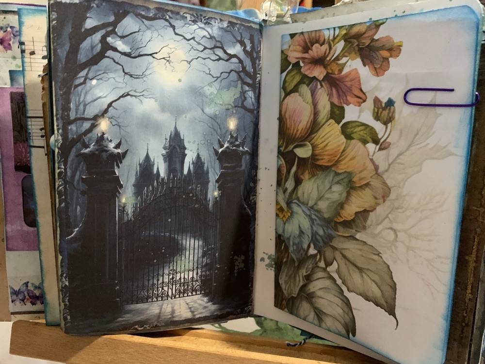 Hidden Castle Mystery Journal