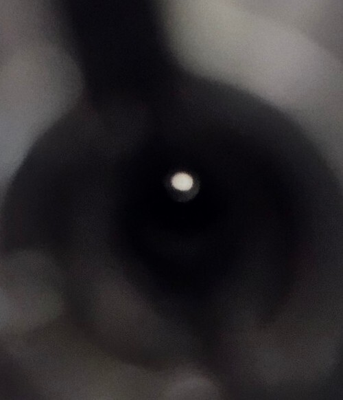 BPI/CVA Magbolt 150 Inline Muzzleloader Breech Plug (53)