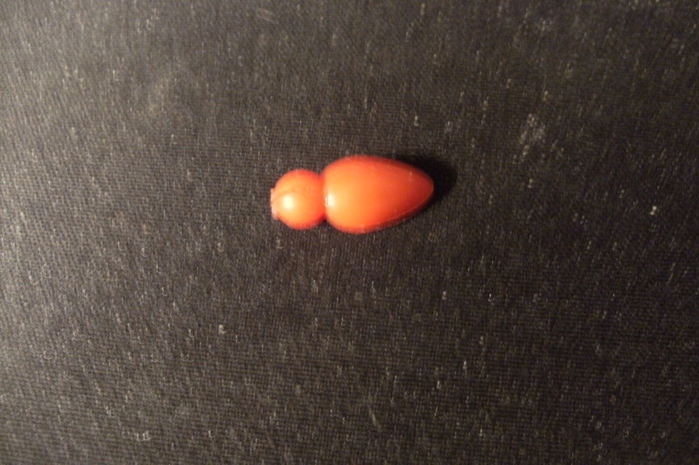 small ear element for playing pigs laughing