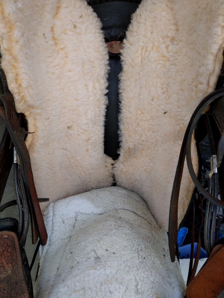 Beautiful Comfy Saddle