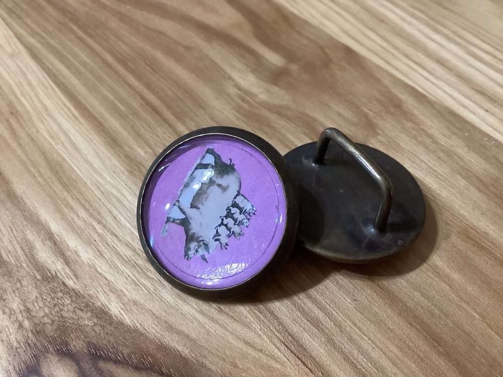 Horse Bridle Rosettes