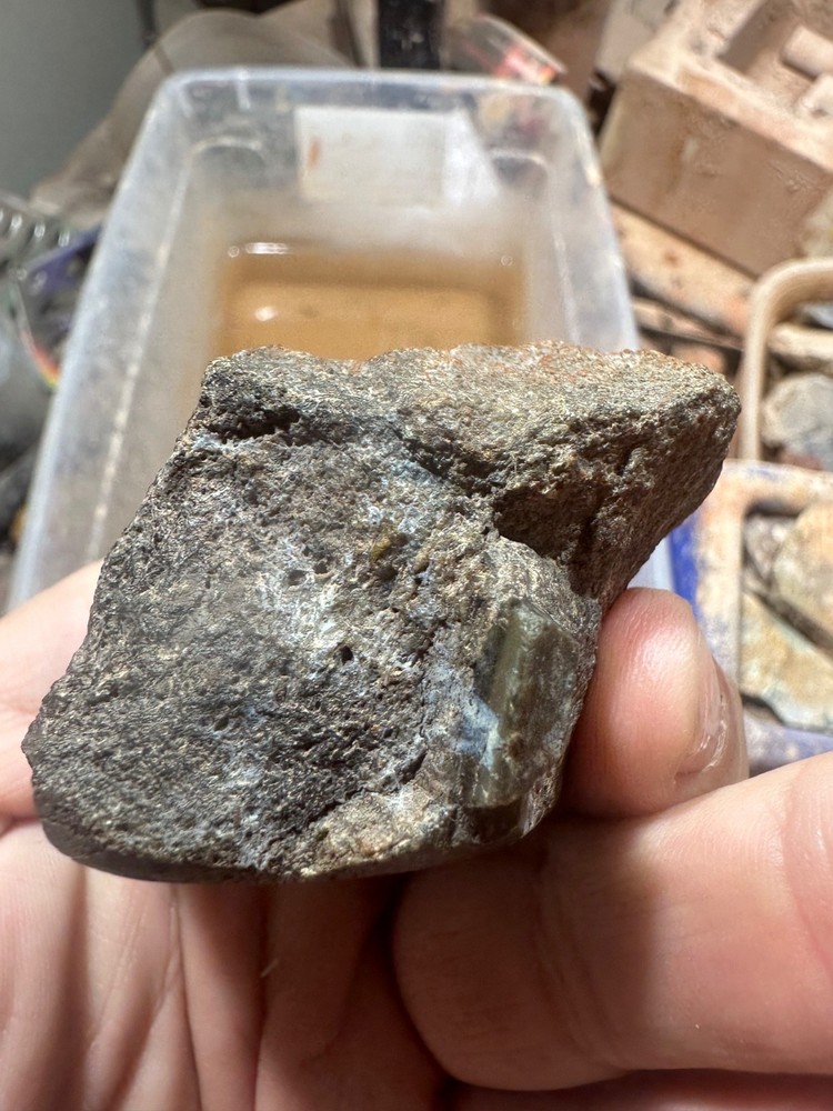 Dinosaur bone rough polished specimen
