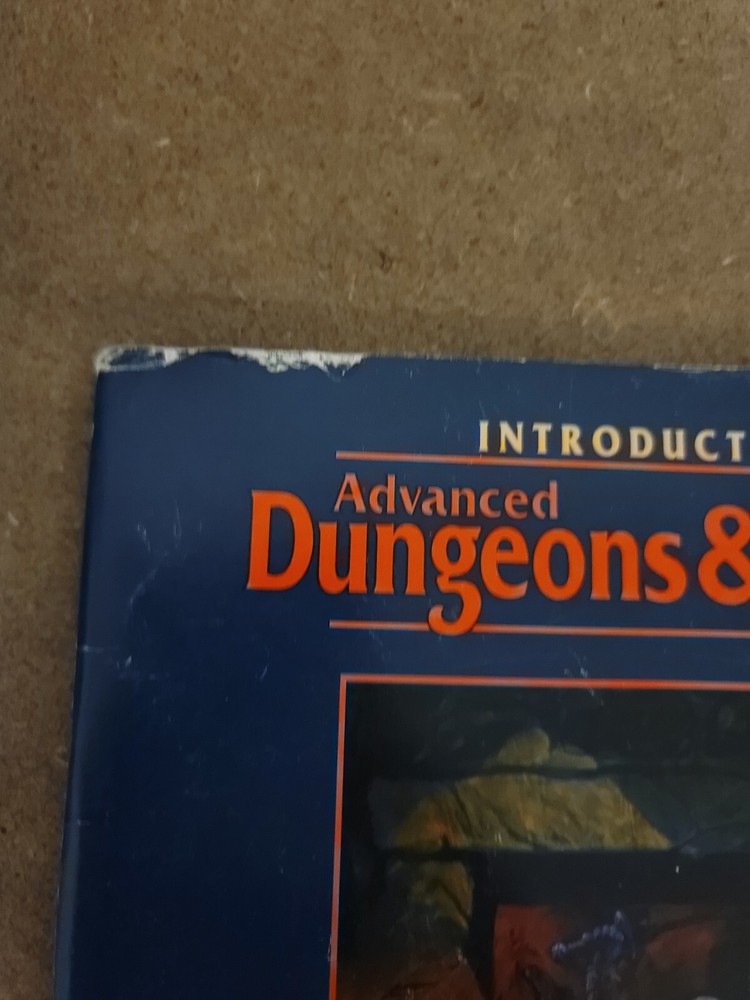 Advanced Dungeons & Dragons: Introduction To Dungeon Masters Guide (1995)