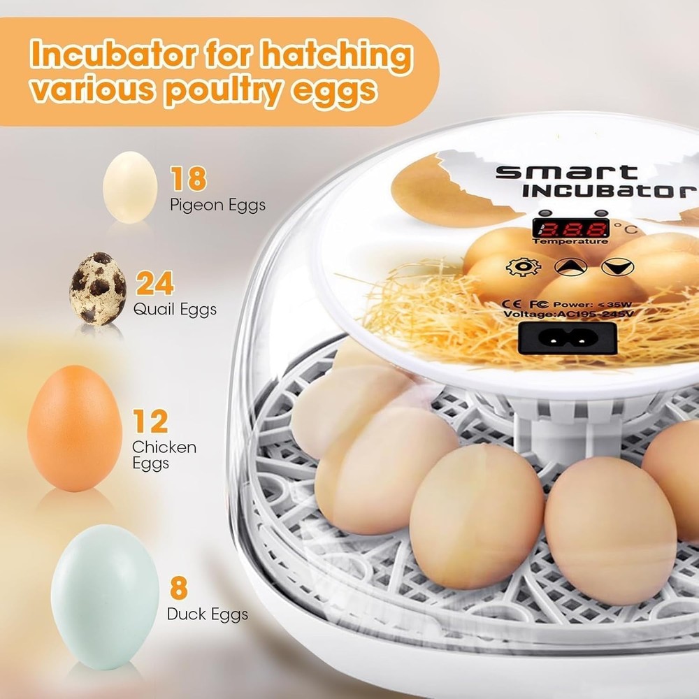 Enhanced Egg Hatching Experience - 12-Egg Incubator with Clear Window & Candler