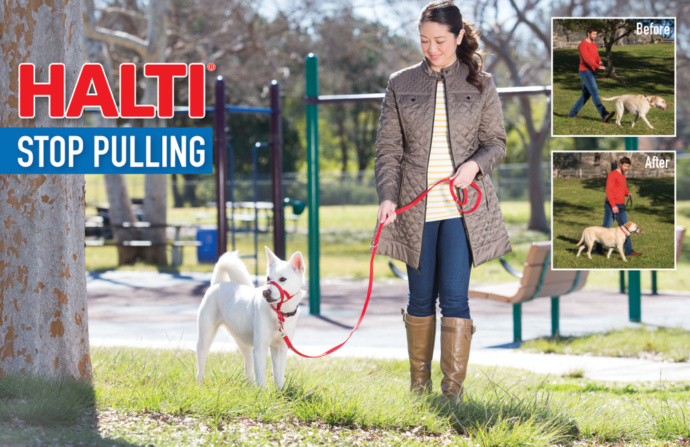 GENUINE HALTI DOG Head Collar NO PULL Slip Training HeadCollar STOP PULLING NEW!