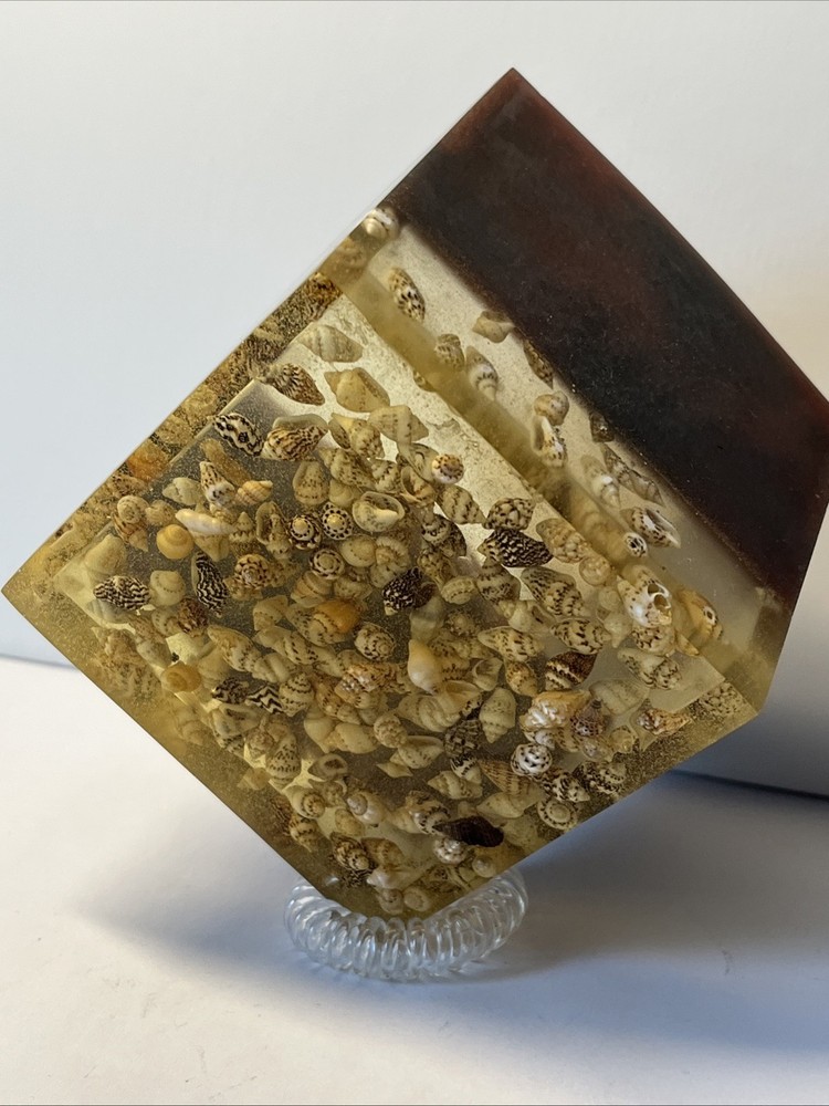 Artisanal Handmade resin container layered design with embedded natural shells