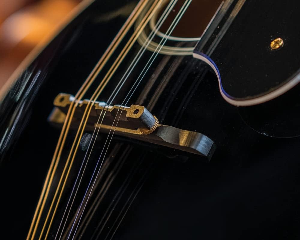 Washburn A-Style Mandolin - Black