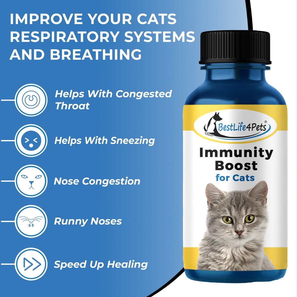 IMMUNITY BOOST FOR CATS Immune System Support Natural Supplement