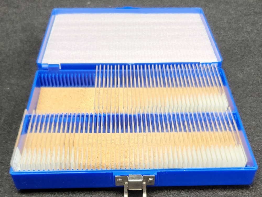 New Microscope Slides