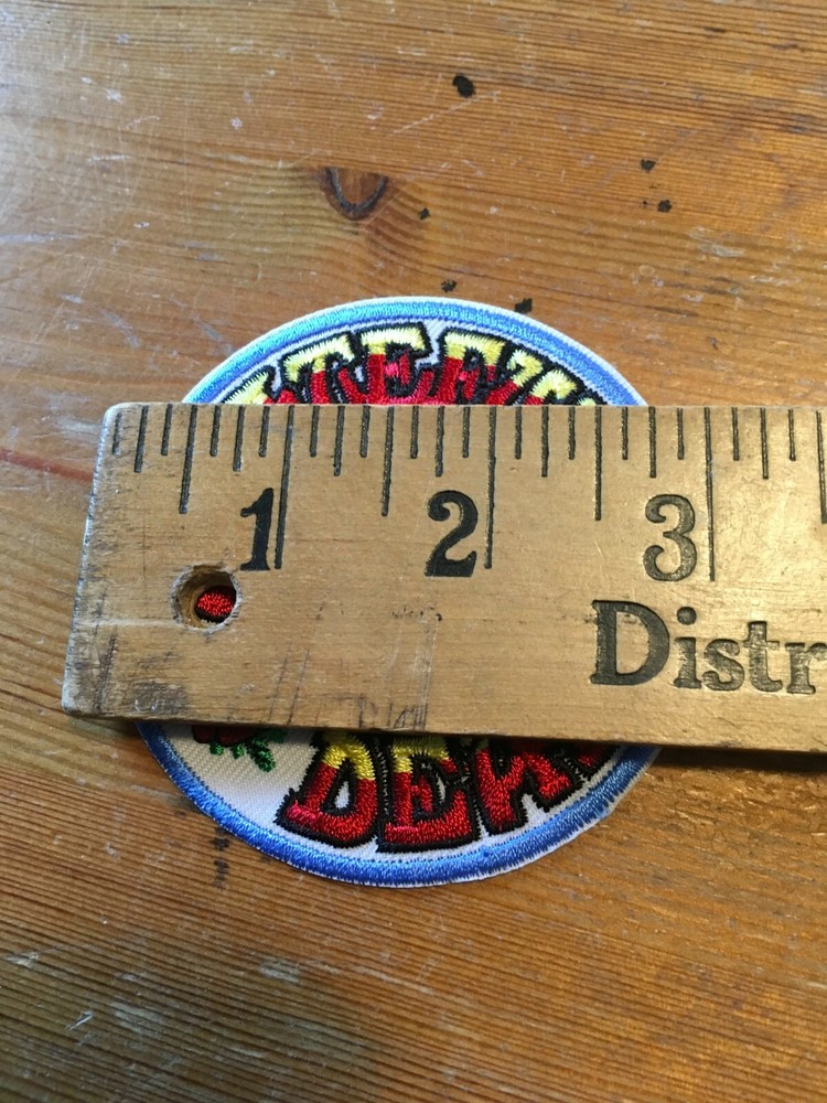 Grateful Dead Iron On Patch Embroidered Skull & Roses 3" Bertha