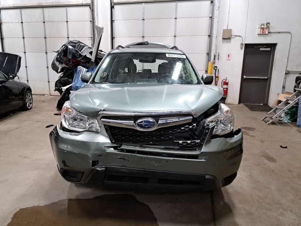 2016 Forester Jack Sku#4352629