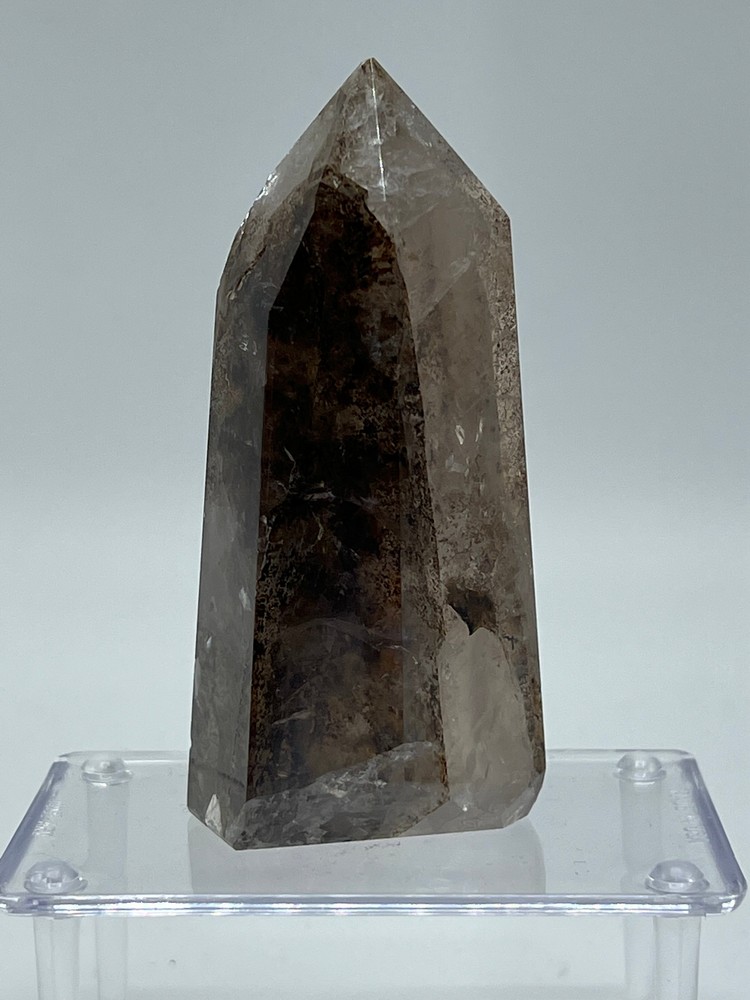 Dendritic Quartz B