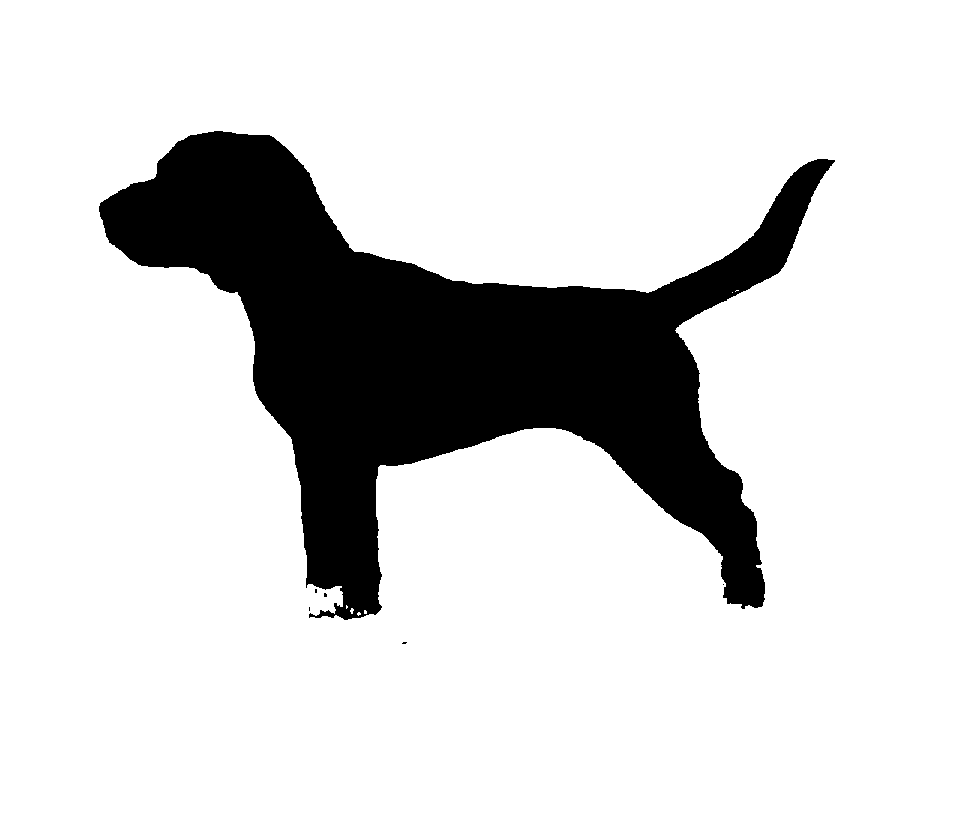 Blueprint Plan For Yard Shadow BEAGLE