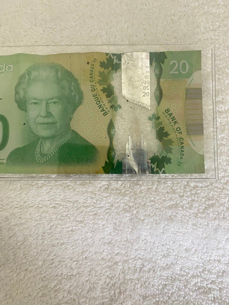 20 DOLLARS CANADA 2020