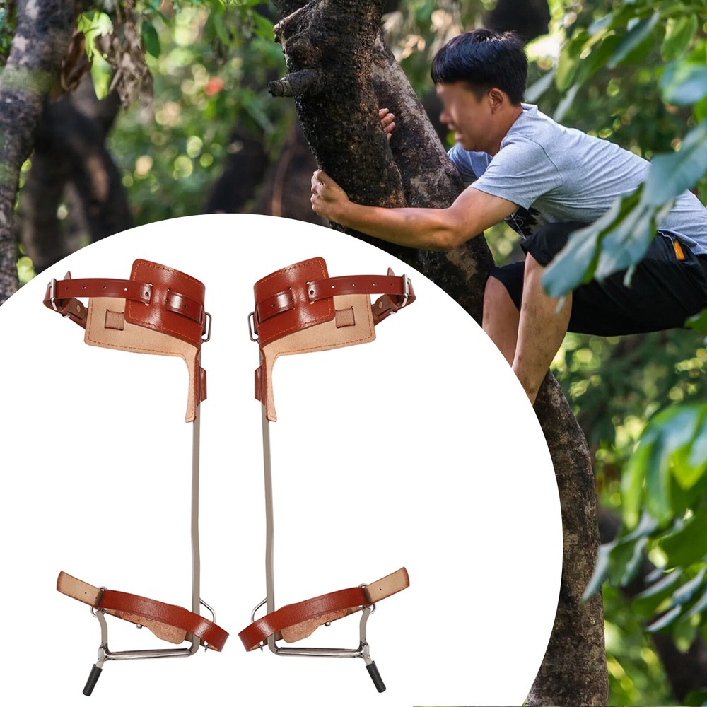 Climbing Tree Spikes Stainless-Steel - Tree Gaffs Pads Spur Gear Climbing Steps
