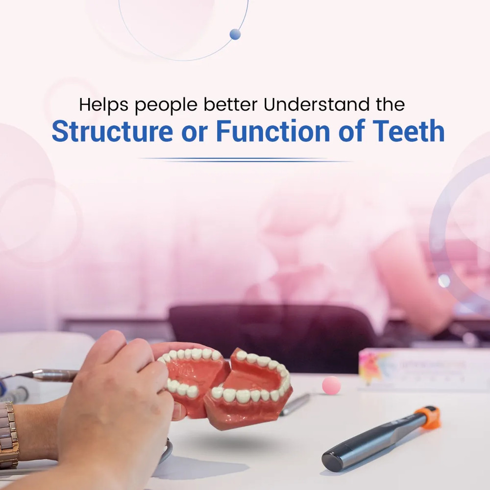 API Jaw Set And Teeth B-561 Durable Plastic Replaceable