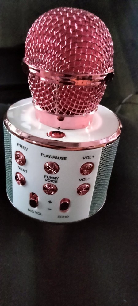 Vivatar Bluetooth Karaoke Microphone