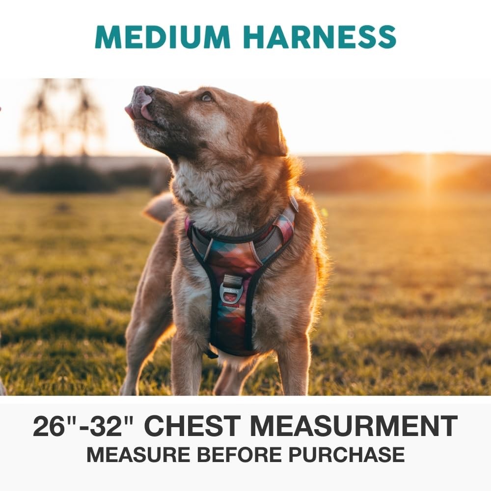 Embark Adventure No Pull Dog Harness, Reflective Trim No Pull Harness for Med...