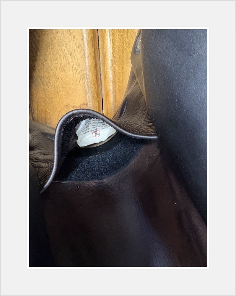 Voltaire Essential jump Saddle. 17.5” Interchangeable