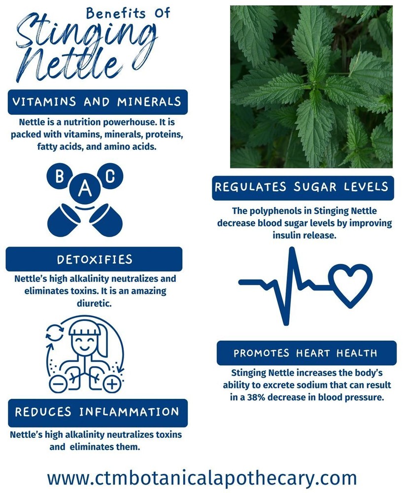 Stinging Nettle Seed Tincture