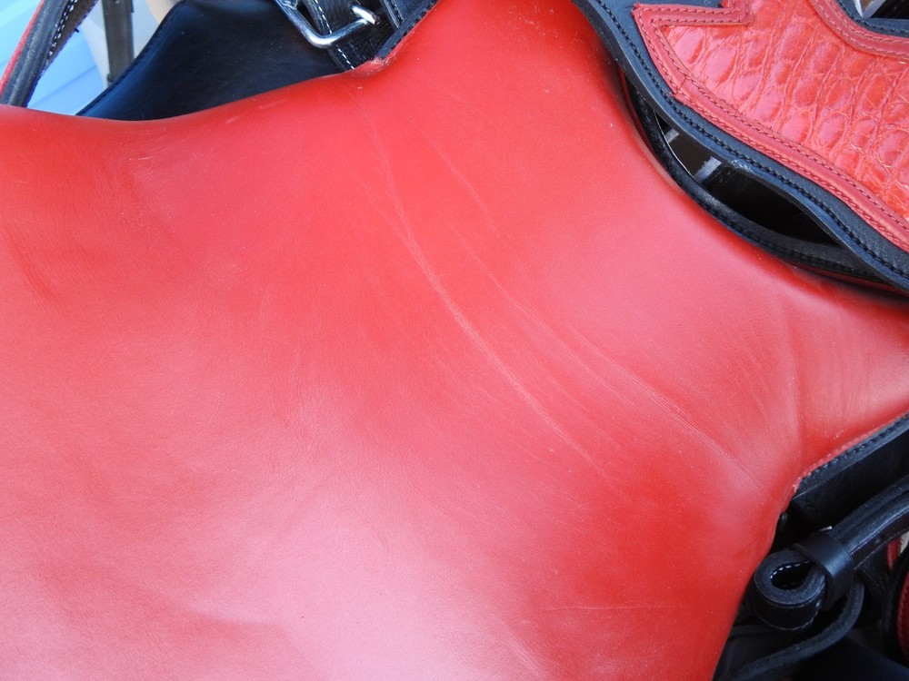 Alpha Cimarron Red Saddle Show Saddle FANCY Red/Black