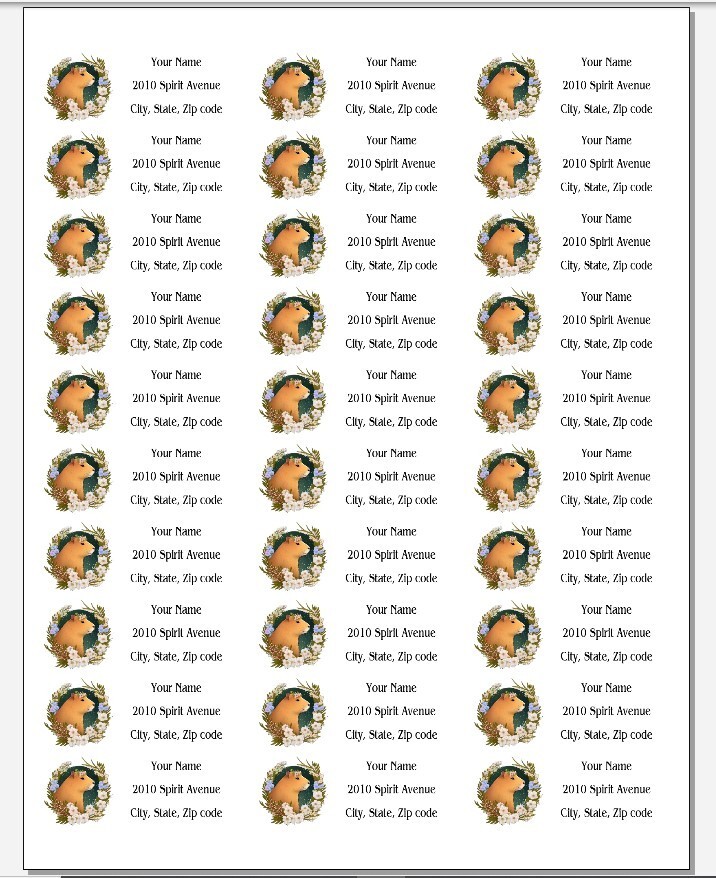 150 Capybara Flowers Mailing Return Address Labels Personalized