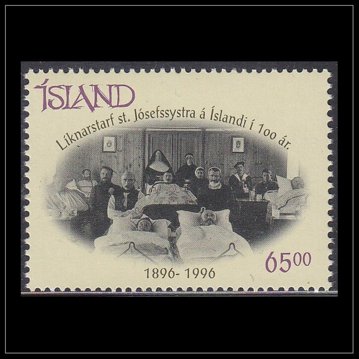 Iceland - 1996 (810) Mint never Hinged