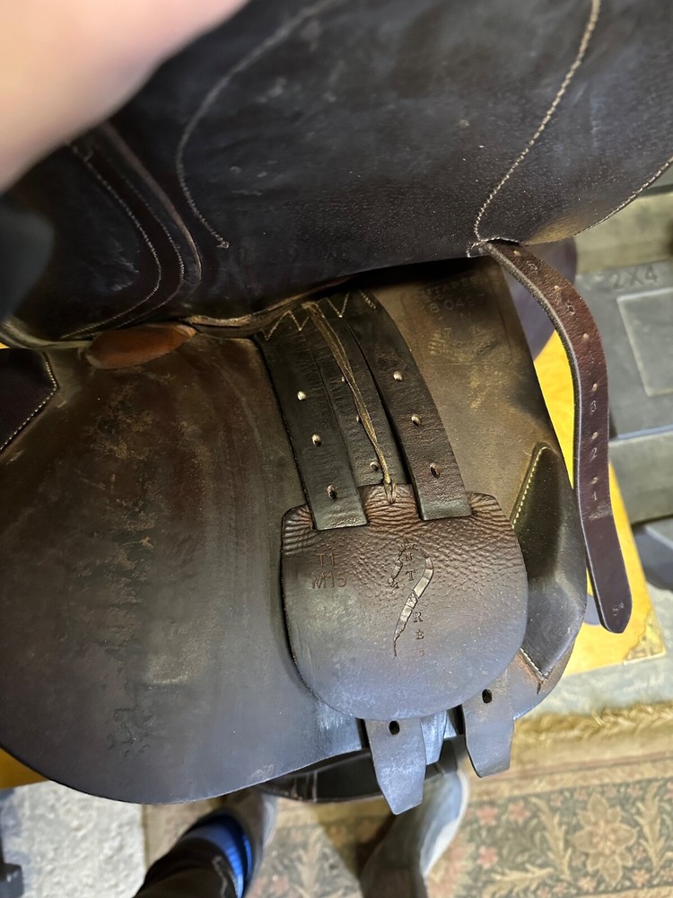 Antarés Evolution Saddle 17' 2018 Buffalo Leather Pro Panels