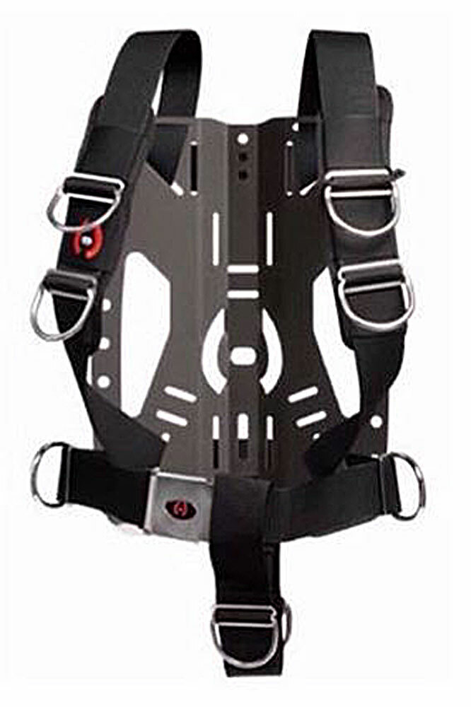 Hollis ST Elite Backplate System