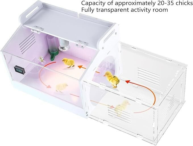 Iarge-Scale Chick brooder Box Quail Cage Egg Incubator Chick Starter Kit Chic...