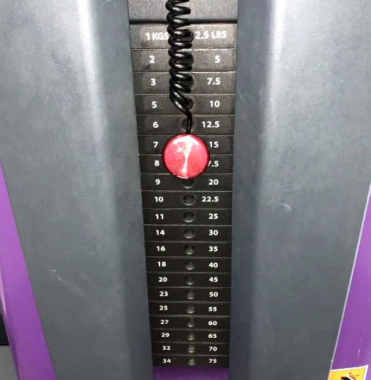 Freemotion | Live Axis Hamstring