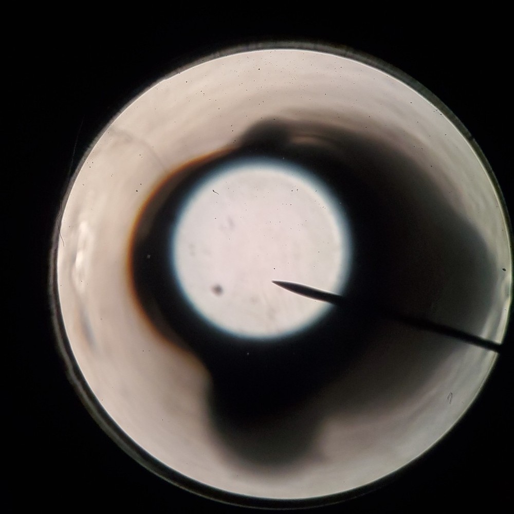 Swift M250 Series Microscope Illuminated w/Cover Tested