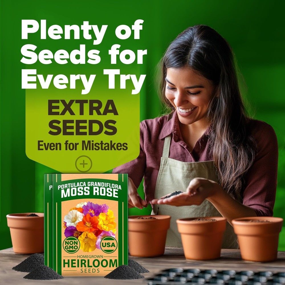 HOME GROWN 47000+ Moss Rose Seeds (Bulk Pack) Annual Flower for 2-Pack, Multi