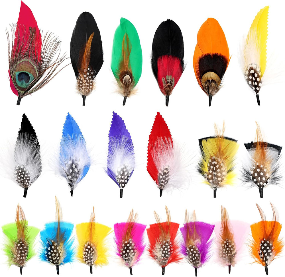 Hat Feathers 20 Styles Natural Assorted Feathers for Fedora Hats Accessories DIY