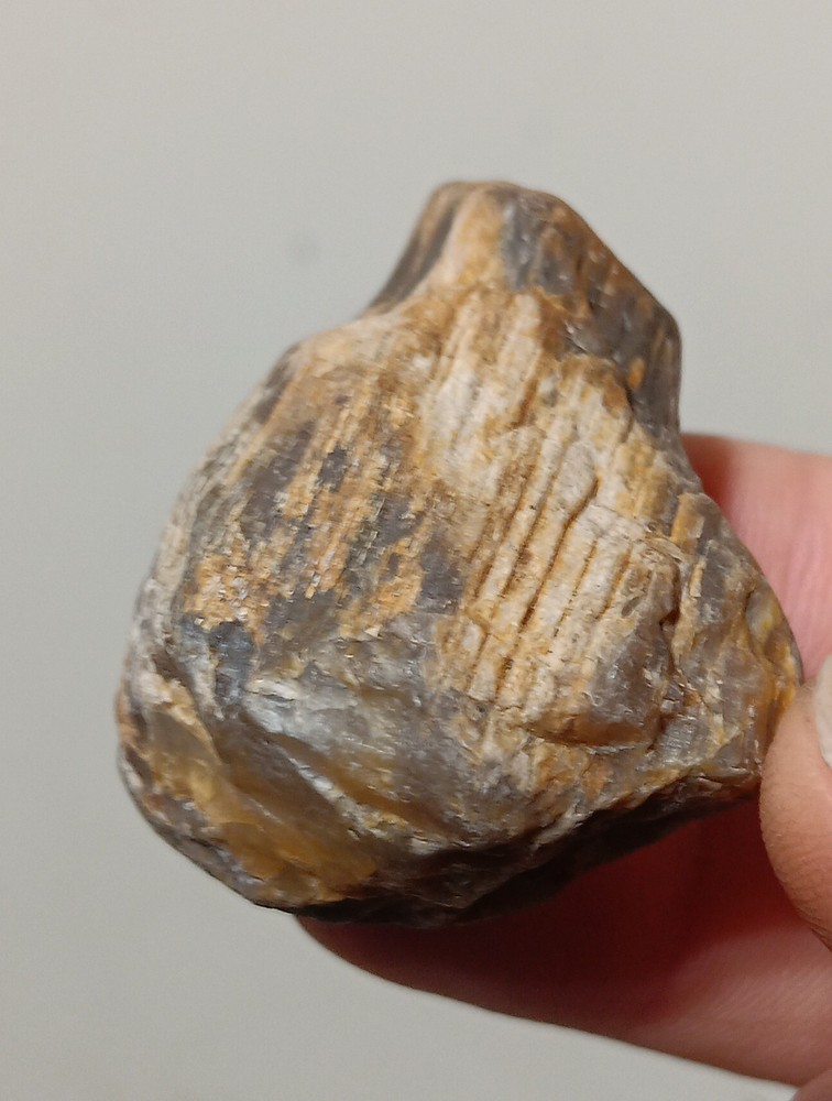 Petrified Wood