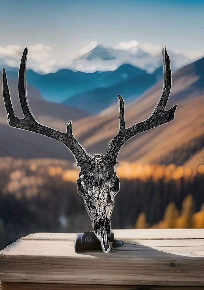 HUGE 6 Point Deer Rack And Skull