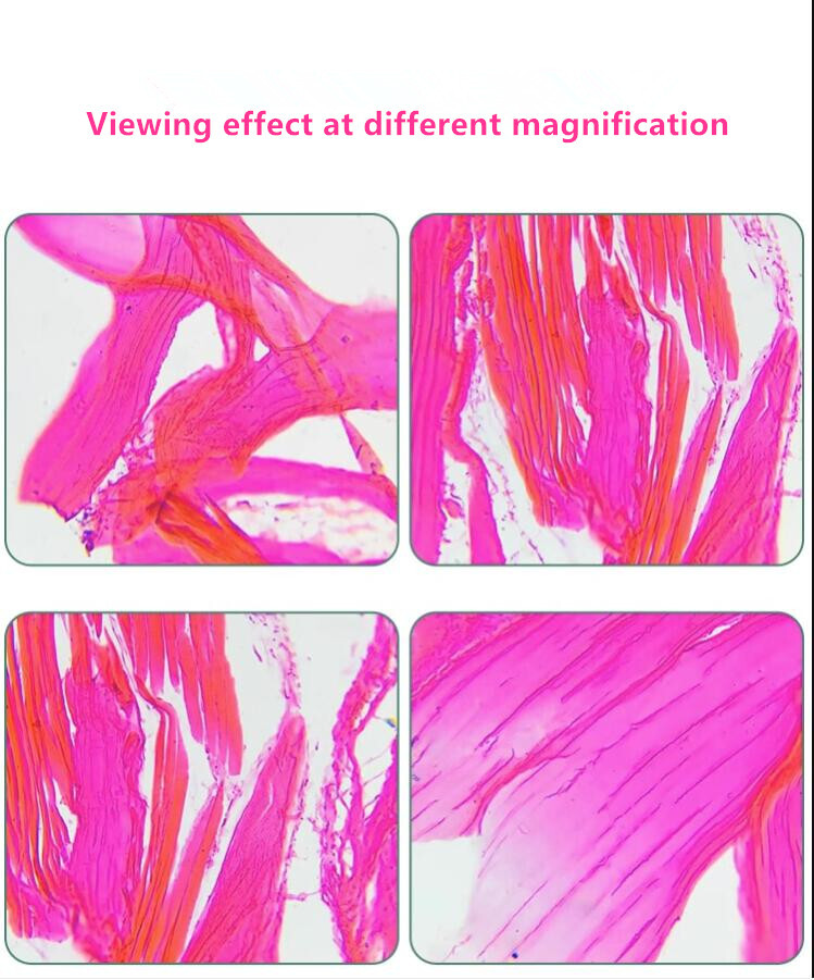 Infinity Long Working Distance Plan Objective Lens for Metallographic Microscope