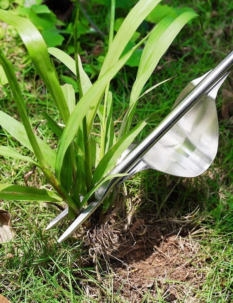 Sharp Stainless Steel Weeder Tools - L-Shape and Fork for Quick Weed Removal