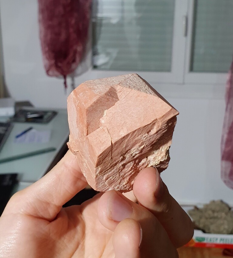 Orthosis Coustouges, Pyrénées Orientales (66), France