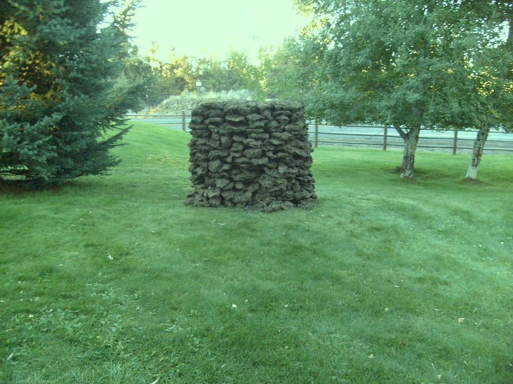 2 + Ton Real Native Oregon Lava Foam Stone