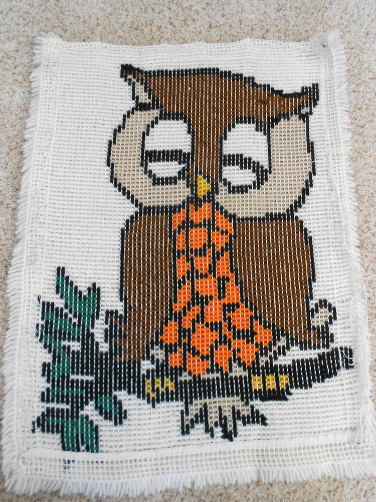 Sleeping Owl Completed Latch Hook Rug/Wall Hanging 1977