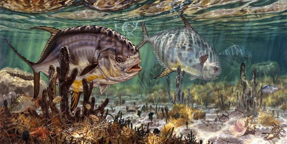 Ceramic Backsplash Tile Mural Fishing Kitchen/Bathroom/Shower - Prowling Permit
