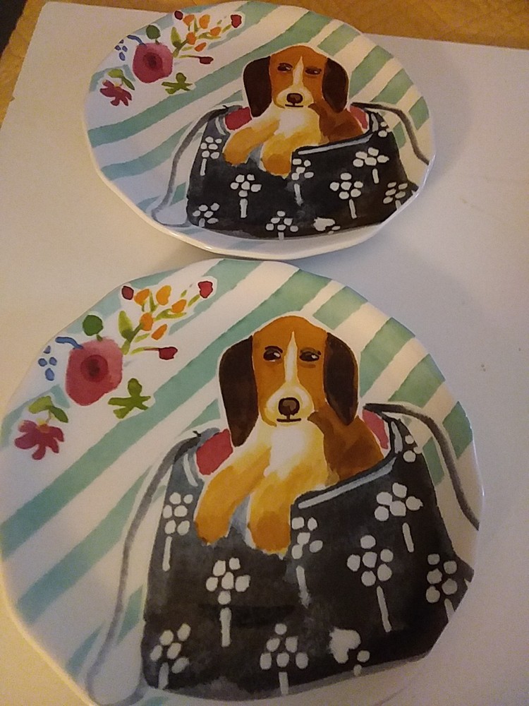 Pier 1 Dolemite Ceramic Plate