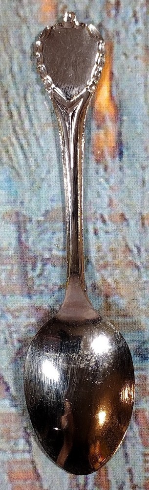 Star Princess Souvenir Spoon